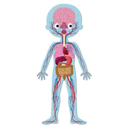Janod - Детски образователен пъзел 225 бр. човешко тяло