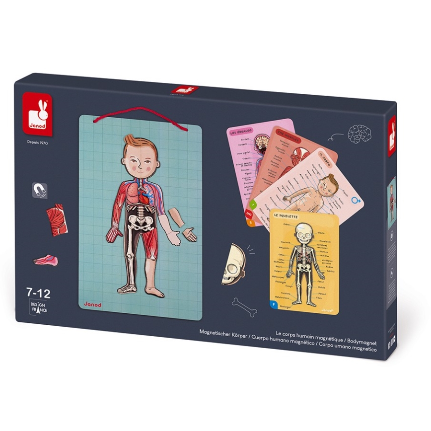 Janod - Магнитен пъзел BODYMAGNET човешко тяло