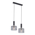 Jupiter 1859 - VA2 - Полилей на въже VANES 2xE27/60W/230V сребърна/черна