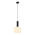 Jupiter 1861 - VA1 - Полилей на въже VANES 1xE27/60W/230V