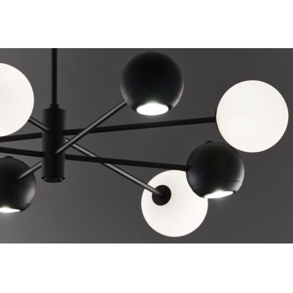 Jupiter 1998 - Висящ полилей MOKA 4xGU10/10W/230V + 4xG9/10W/230V черен/бял