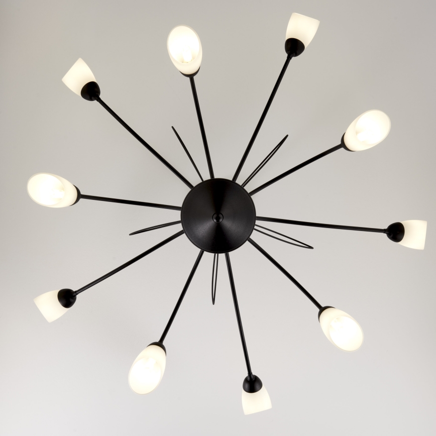 Jupiter 2056 - полилей на штанга GLORIOSA 10xG9/14W/230V черен