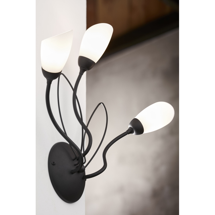 Jupiter 2059 - Стенно осветително тяло GLORIOSA 3xG9/14W/230V, черно