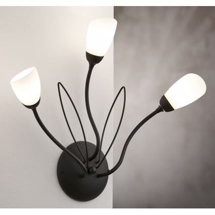 Jupiter 2059 - Стенно осветително тяло GLORIOSA 3xG9/14W/230V, черно