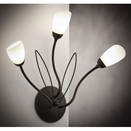 Jupiter 2059 - Стенно осветително тяло GLORIOSA 3xG9/14W/230V, черно