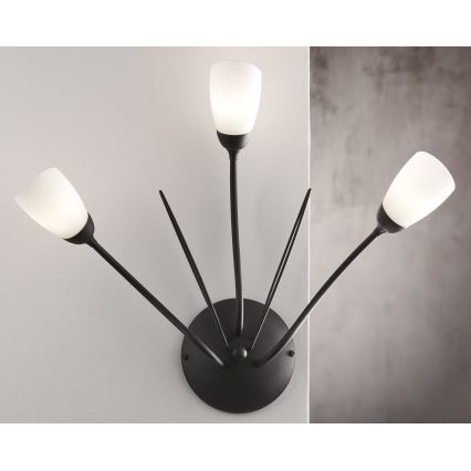 Jupiter 2059 - Стенно осветително тяло GLORIOSA 3xG9/14W/230V, черно