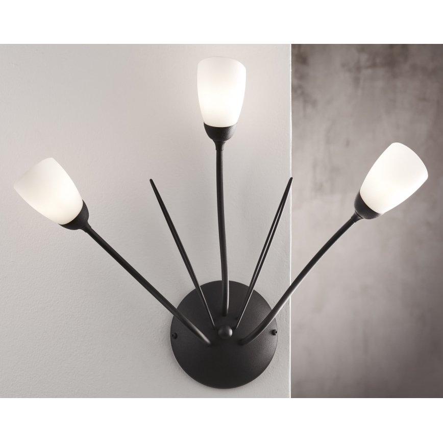 Jupiter 2059 - Стенно осветително тяло GLORIOSA 3xG9/14W/230V, черно