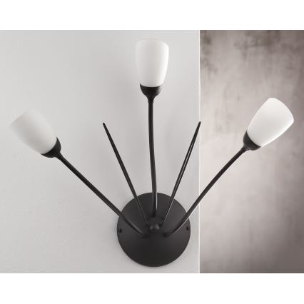 Jupiter 2059 - Стенно осветително тяло GLORIOSA 3xG9/14W/230V, черно