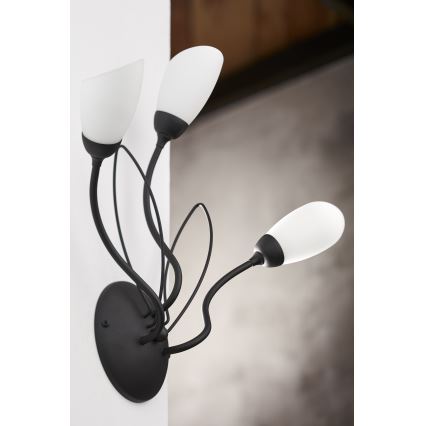 Jupiter 2059 - Стенно осветително тяло GLORIOSA 3xG9/14W/230V, черно