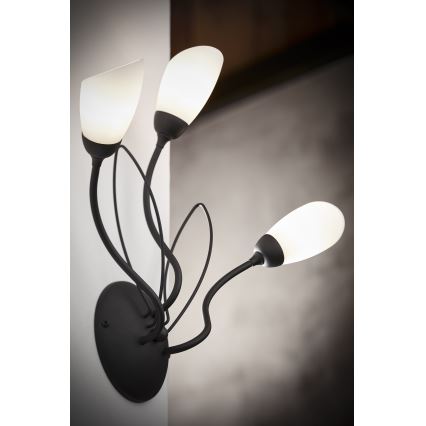 Jupiter 2059 - Стенно осветително тяло GLORIOSA 3xG9/14W/230V, черно