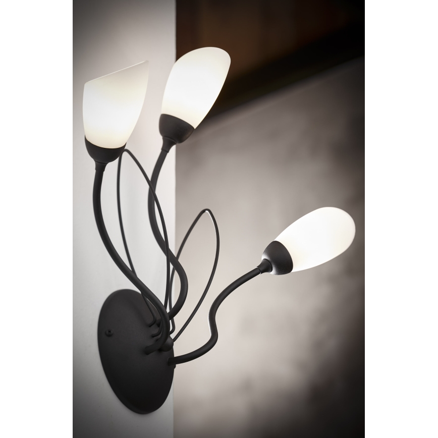 Jupiter 2059 - Стенно осветително тяло GLORIOSA 3xG9/14W/230V, черно