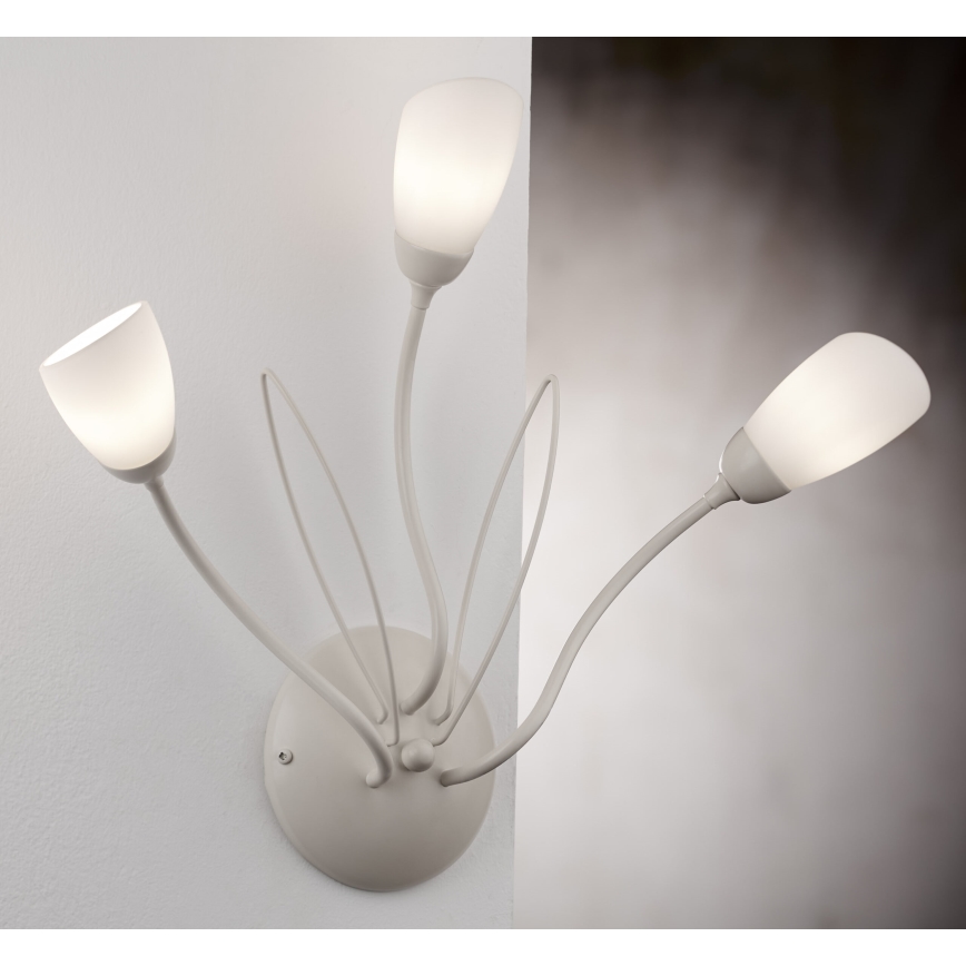 Jupiter 2064 - Стенно осветително тяло GLORIOSA 3xG9/14W/230V кремаво