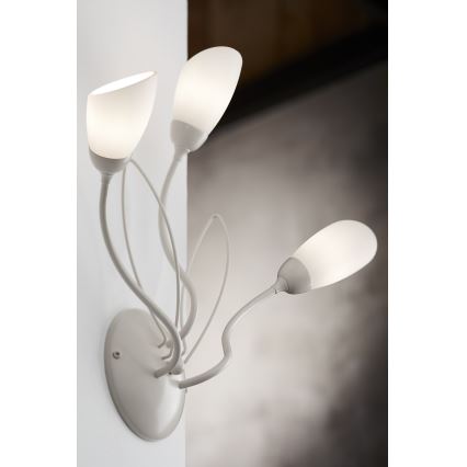 Jupiter 2064 - Стенно осветително тяло GLORIOSA 3xG9/14W/230V кремаво