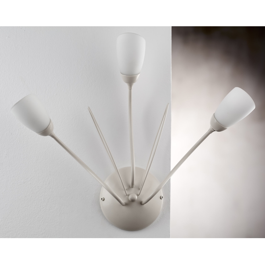 Jupiter 2064 - Стенно осветително тяло GLORIOSA 3xG9/14W/230V кремаво