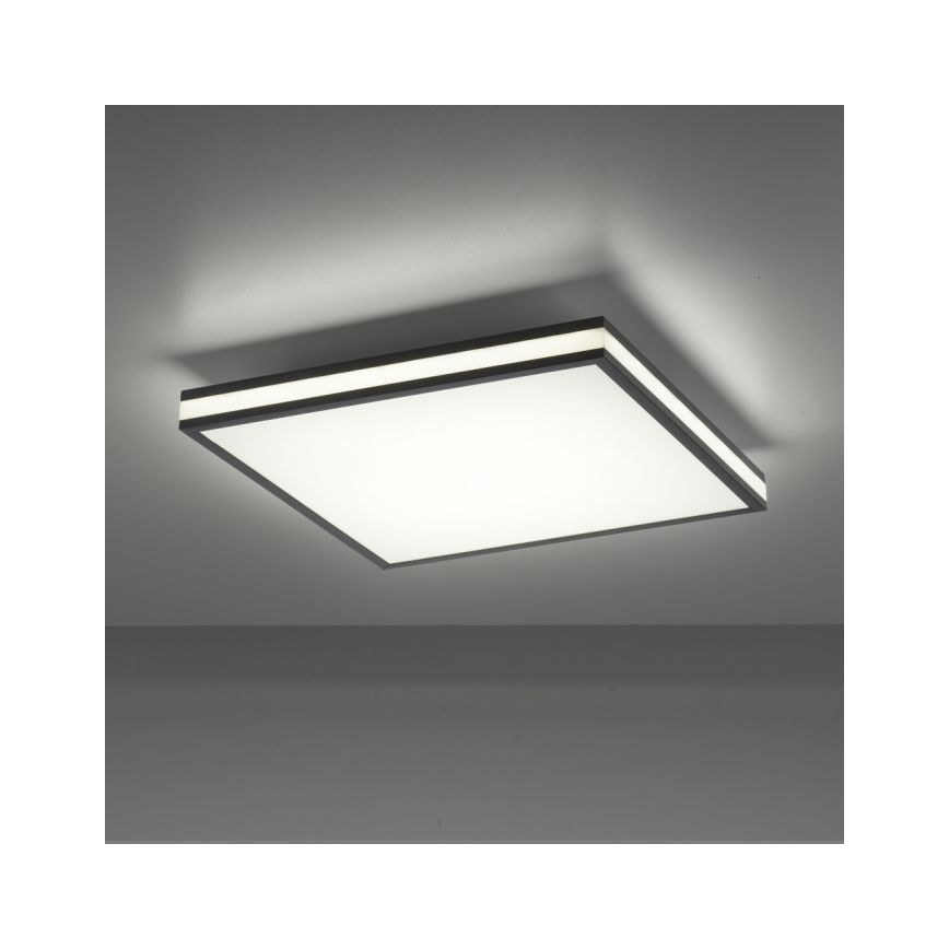 JUST LIGHT. 14110-18 - LED RGBW Димируем плафон MARIO BLACK LED/19,5W/230V 2700-5000K + дистанционно управление