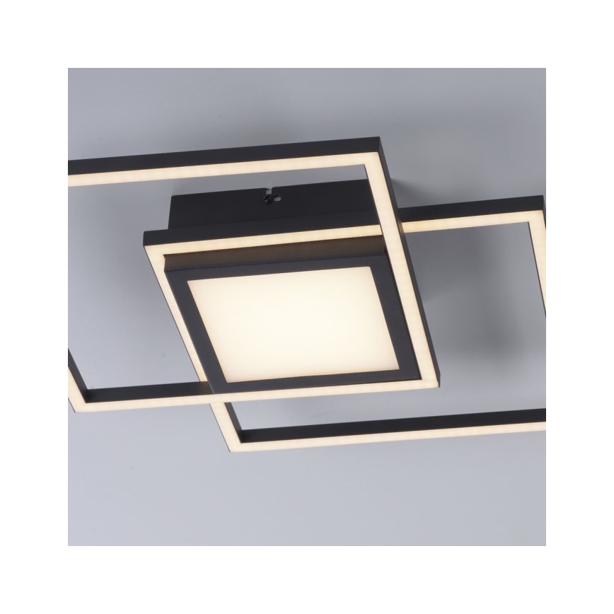 JUST LIGHT. 14144-18 - LED Плафониера ASMIN LED/26W/230V