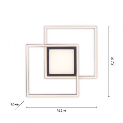JUST LIGHT. 14144-18 - LED Плафониера ASMIN LED/26W/230V