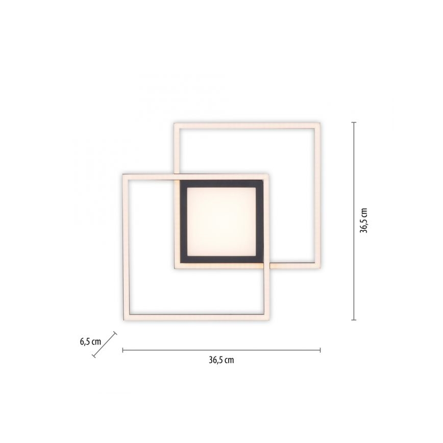 JUST LIGHT. 14144-18 - LED Плафониера ASMIN LED/26W/230V