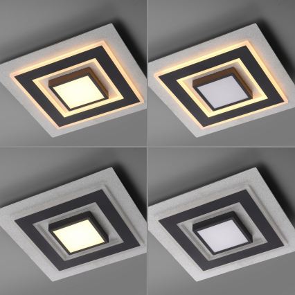 JUST LIGHT. 14439-21 - LED таванно осветително тяло CICHIO LED/18,5W/230V + LED/9W 40x40 см черно