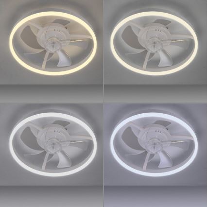 JUST LIGHT. 14624-16 - димируем таванен вентилатор с LED осветление RITA LED/22W/230V 3000-6000K Ø 50 cm бял + дистанционно управление