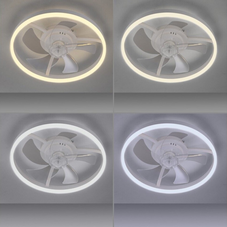 JUST LIGHT. 14624-16 - димируем таванен вентилатор с LED осветление RITA LED/22W/230V 3000-6000K Ø 50 cm бял + дистанционно управление