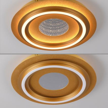 JUST LIGHT. 15089-60 - LED Таванно осветително тяло CICHIO LED/36W/230V Ø 40 см златисто