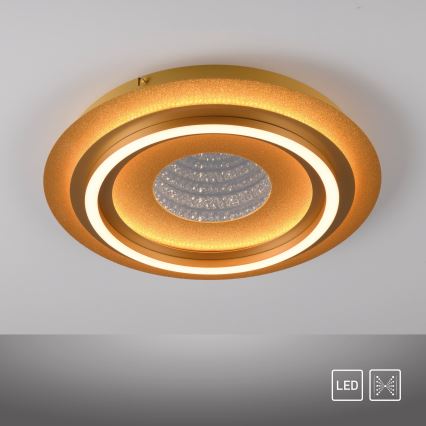 JUST LIGHT. 15089-60 - LED Таванно осветително тяло CICHIO LED/36W/230V Ø 40 см златисто