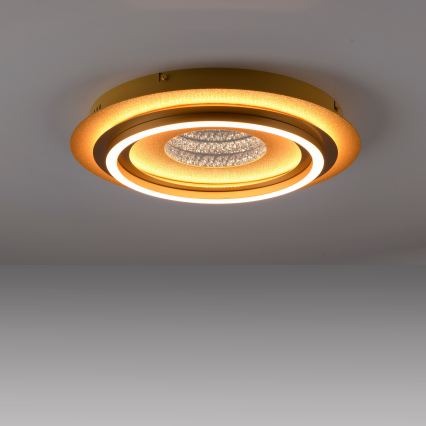 JUST LIGHT. 15089-60 - LED Таванно осветително тяло CICHIO LED/36W/230V Ø 40 см златисто