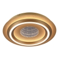JUST LIGHT. 15089-60 - LED Таванно осветително тяло CICHIO LED/36W/230V Ø 40 см златисто
