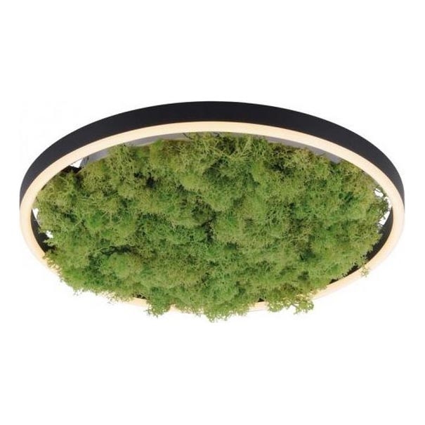 JUST LIGHT. 15391-66 - LED Димируем плафон ЗЕЛЕН (зелен) RITU LED/20W/230V