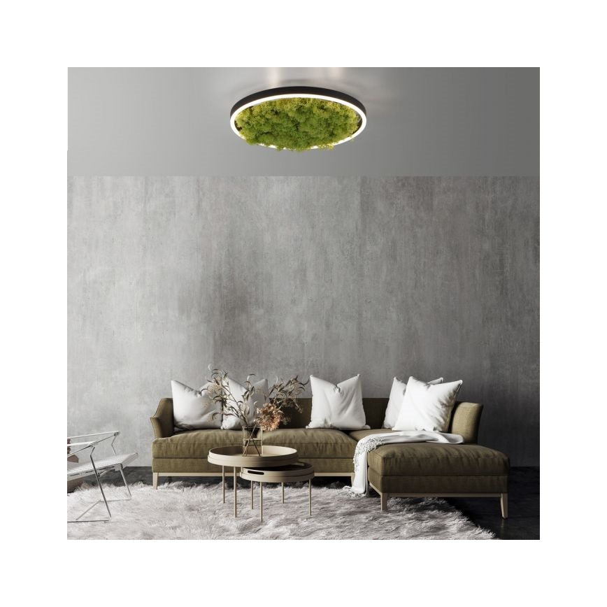 JUST LIGHT. 15391-66 - LED Димируем плафон ЗЕЛЕН (зелен) RITU LED/20W/230V