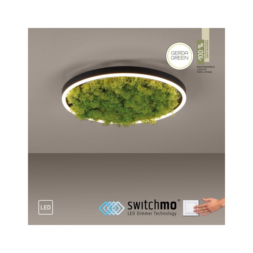 JUST LIGHT. 15391-66 - LED Димируем плафон ЗЕЛЕН (зелен) RITU LED/20W/230V