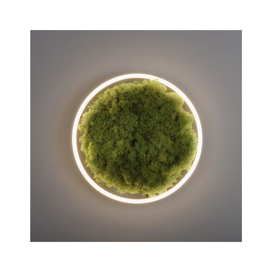 JUST LIGHT. 15391-66 - LED Димируем плафон ЗЕЛЕН (зелен) RITU LED/20W/230V