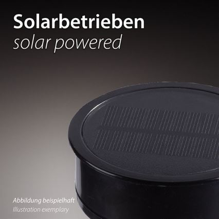 JUST LIGHT. 19106-18-3 - Комплект от 3 бр. LED соларни лампи FACKEL LED/0,24W/1,2V 200 mAh IP44 черен