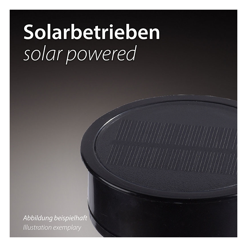 JUST LIGHT. 19106-18-3 - Комплект от 3 бр. LED соларни лампи FACKEL LED/0,24W/1,2V 200 mAh IP44 черен