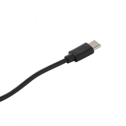 JUST LIGHT. 19260-18 - LED регулируема сензорна външна лампа ABERA LED/3W/3,7V 2000 mAh USB IP54 черна