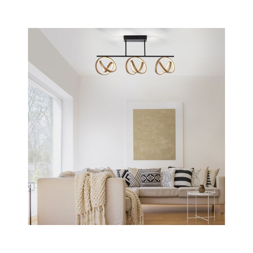 JUST LIGHT. 6245-18 - LED Димируем полилей за повърхностен монтаж LOOP 3xLED/11W/230V 2700-5000K + дистанционно управление