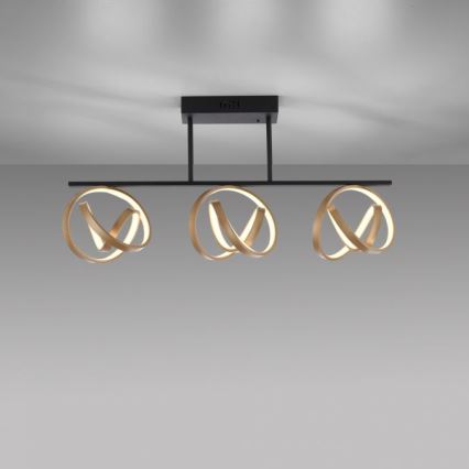 JUST LIGHT. 6245-18 - LED Димируем полилей за повърхностен монтаж LOOP 3xLED/11W/230V 2700-5000K + дистанционно управление