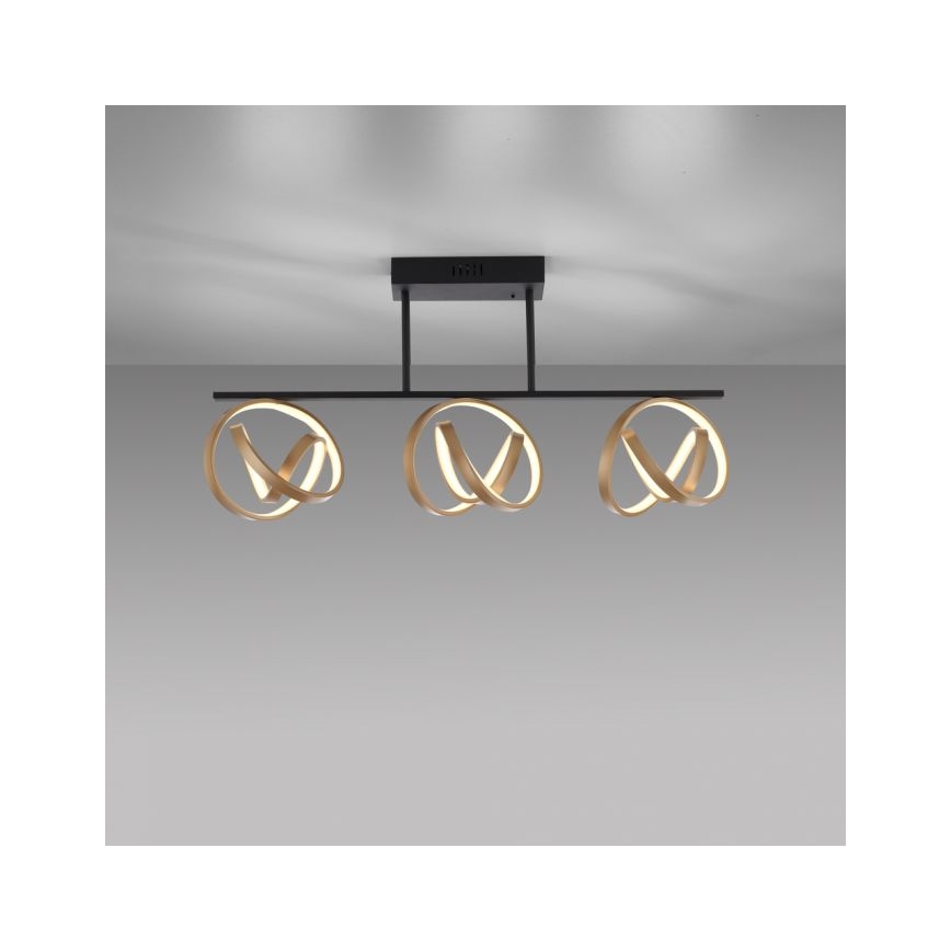 JUST LIGHT. 6245-18 - LED Димируем полилей за повърхностен монтаж LOOP 3xLED/11W/230V 2700-5000K + дистанционно управление