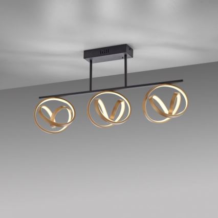 JUST LIGHT. 6245-18 - LED Димируем полилей за повърхностен монтаж LOOP 3xLED/11W/230V 2700-5000K + дистанционно управление
