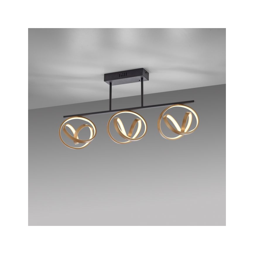 JUST LIGHT. 6245-18 - LED Димируем полилей за повърхностен монтаж LOOP 3xLED/11W/230V 2700-5000K + дистанционно управление