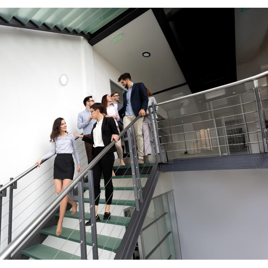 LED таванно/вградено осветително тяло с датчик за движение 2в1 ERGA LED/17W/230V 3000/4000/6500K черно