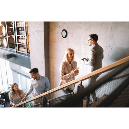 LED таванно/вградено осветително тяло 2 в 1 ERGA LED/17W/230V 3000/4000/6500K черно