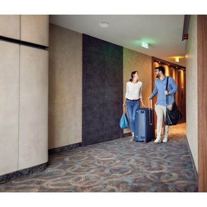 LED таванно/за окачен таван осветително тяло 2 в 1 ERGA LED/17W/230V 3000/4000/6500K бяло