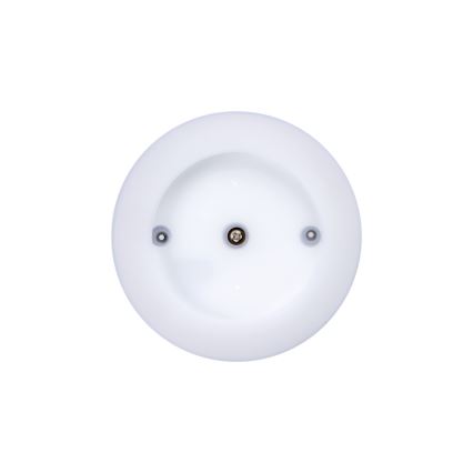 Екстериорна LED лампа за таван TURA LED/15W/230V 4000K IP54 черен