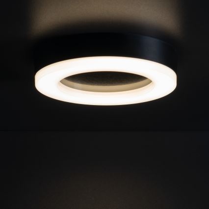 Екстериорна LED лампа за таван TURA LED/24W/230V 4000K IP54 черен