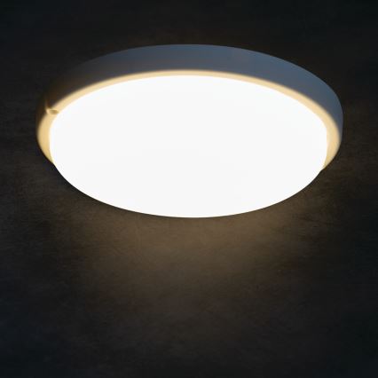 LED Плафон за баня TOLU LED/18W/230V 4000K IP54 бял