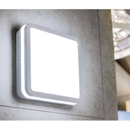 LED Екстериорна лампа BENO LED/18W/230V IP54 4000K бяла IP54