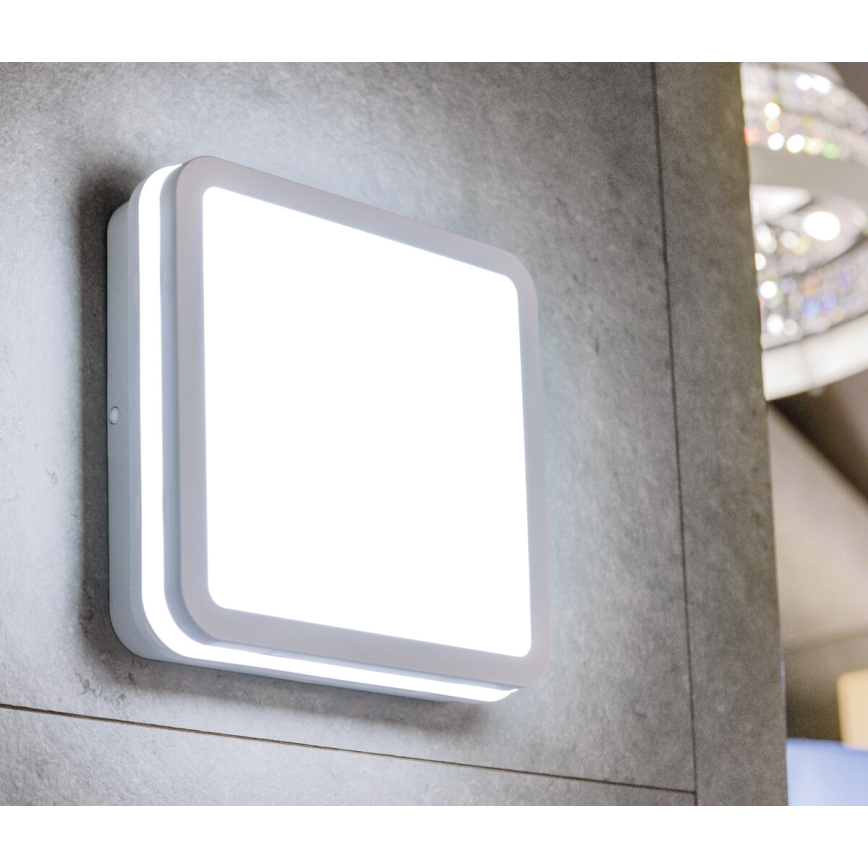 LED Екстериорна лампа BENO LED/18W/230V IP54 4000K бяла IP54