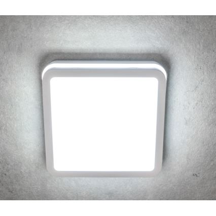LED Екстериорна лампа BENO LED/18W/230V IP54 4000K бяла IP54
